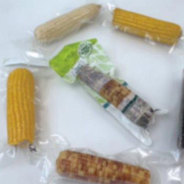 Retort & Sterilization Packaging